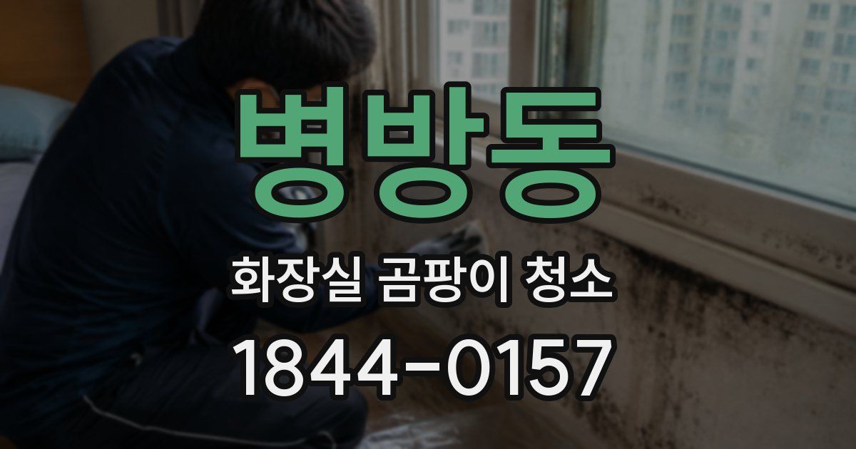 병방동 화장실 곰팡이 청소