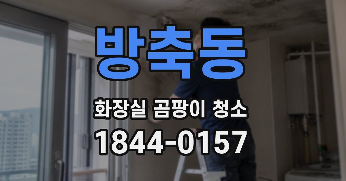 방축동 화장실 곰팡이 청소