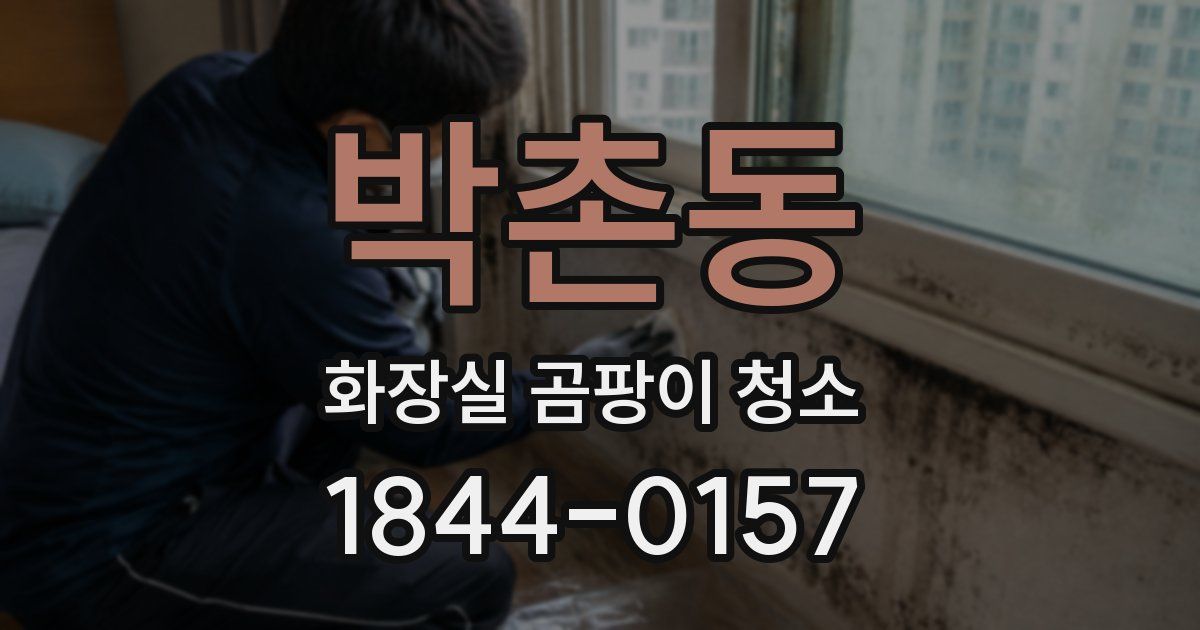 박촌동 화장실 곰팡이 청소