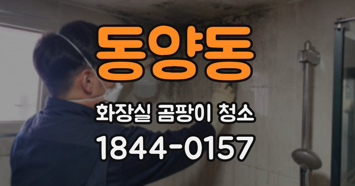 동양동 화장실 곰팡이 청소