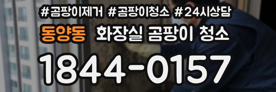 동양동 화장실 곰팡이 청소
