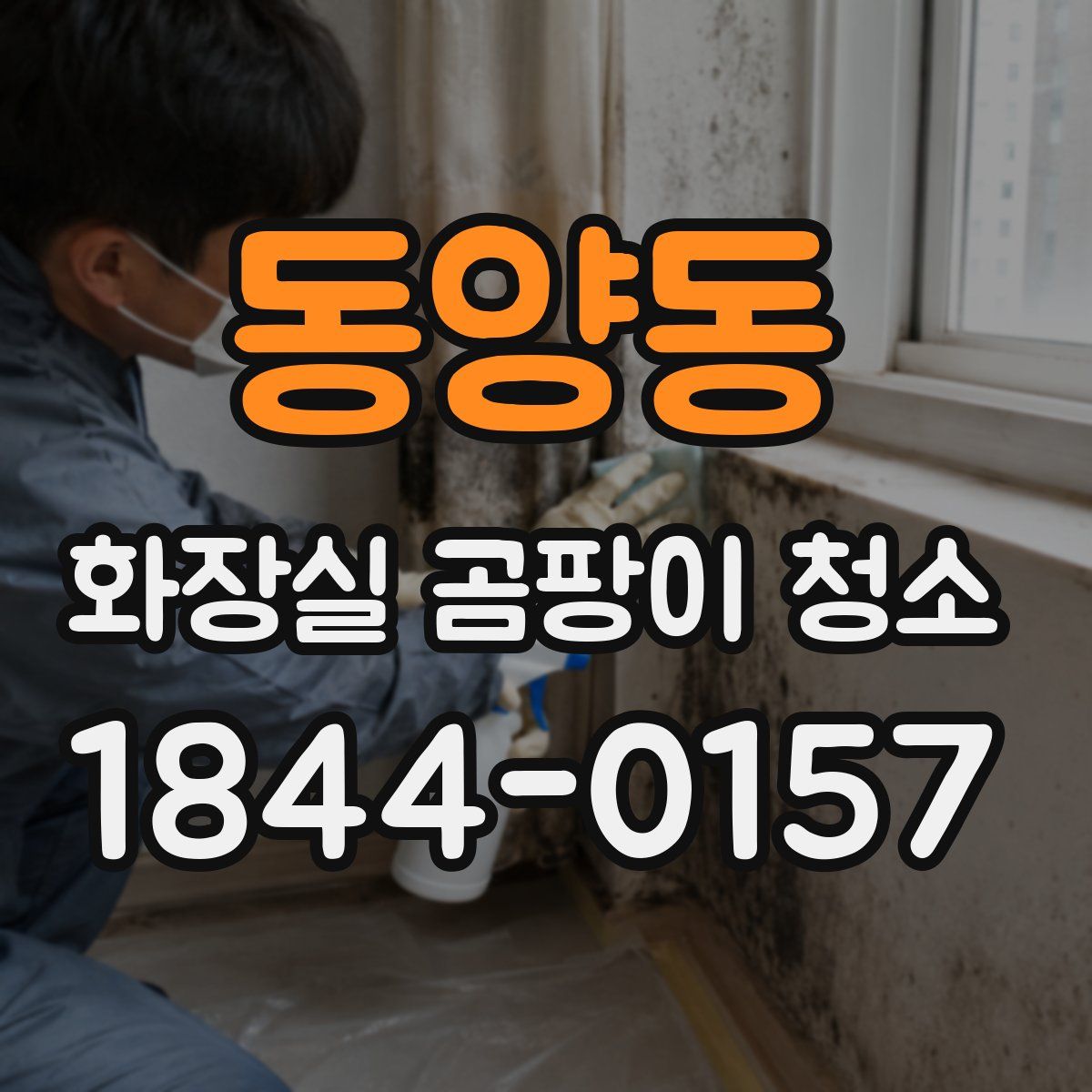 동양동 화장실 곰팡이 청소