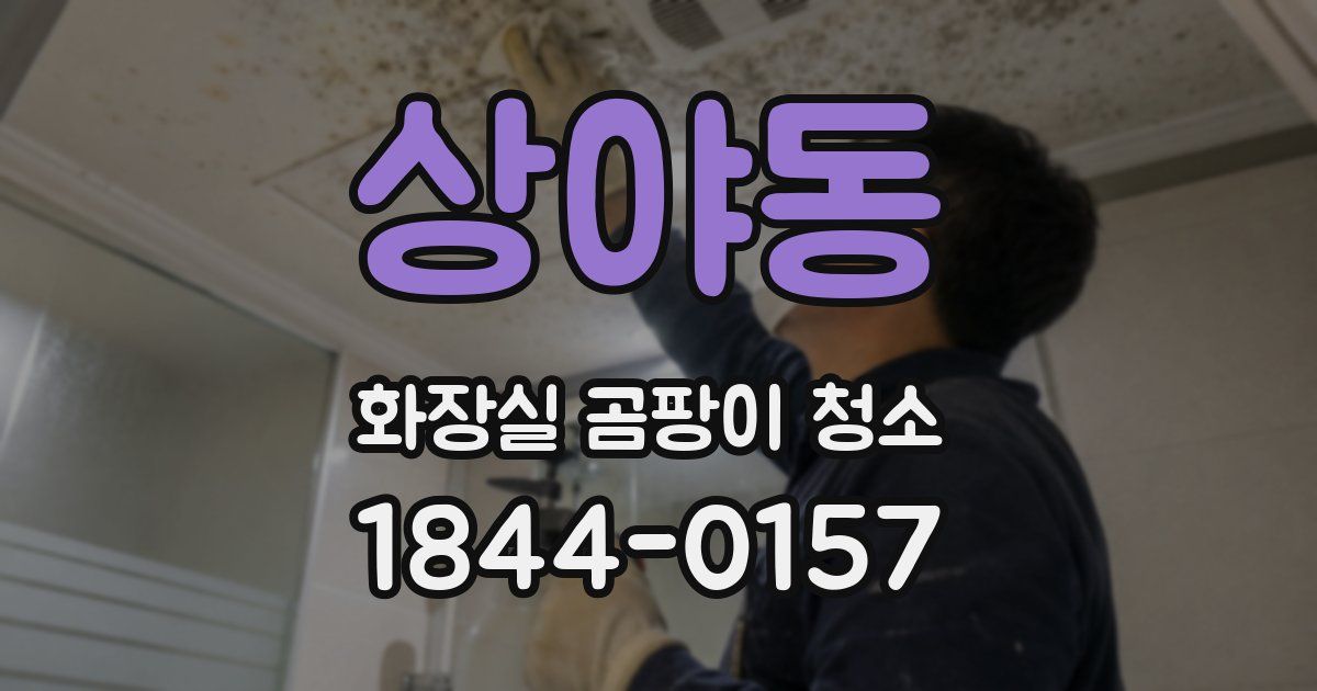 상야동 화장실 곰팡이 청소