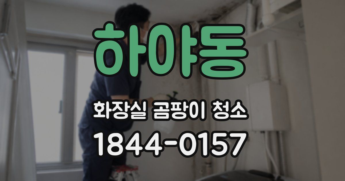 하야동 화장실 곰팡이 청소