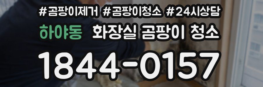 하야동 화장실 곰팡이 청소