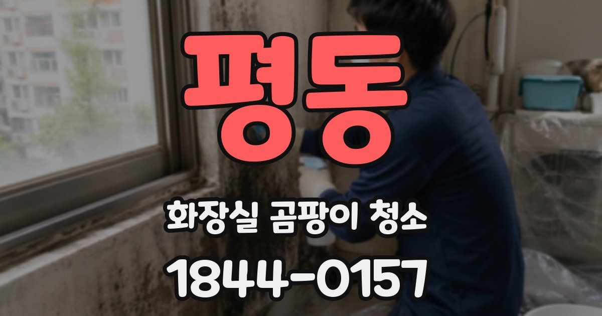 평동 화장실 곰팡이 청소