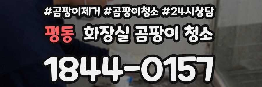 평동 화장실 곰팡이 청소