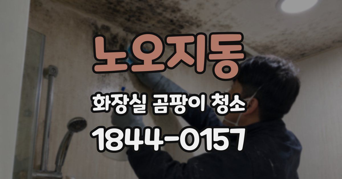 노오지동 화장실 곰팡이 청소