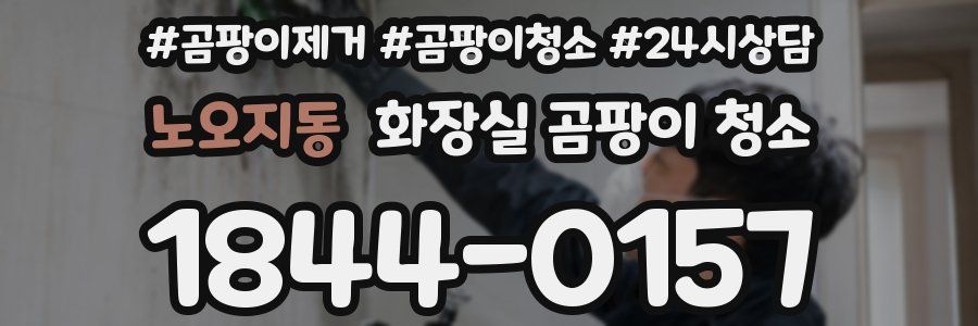 노오지동 화장실 곰팡이 청소