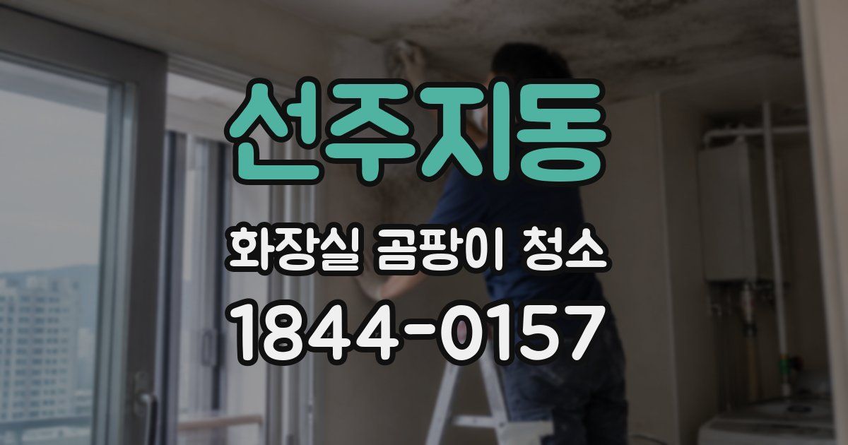 선주지동 화장실 곰팡이 청소