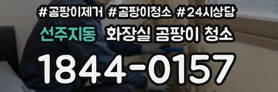 선주지동 화장실 곰팡이 청소