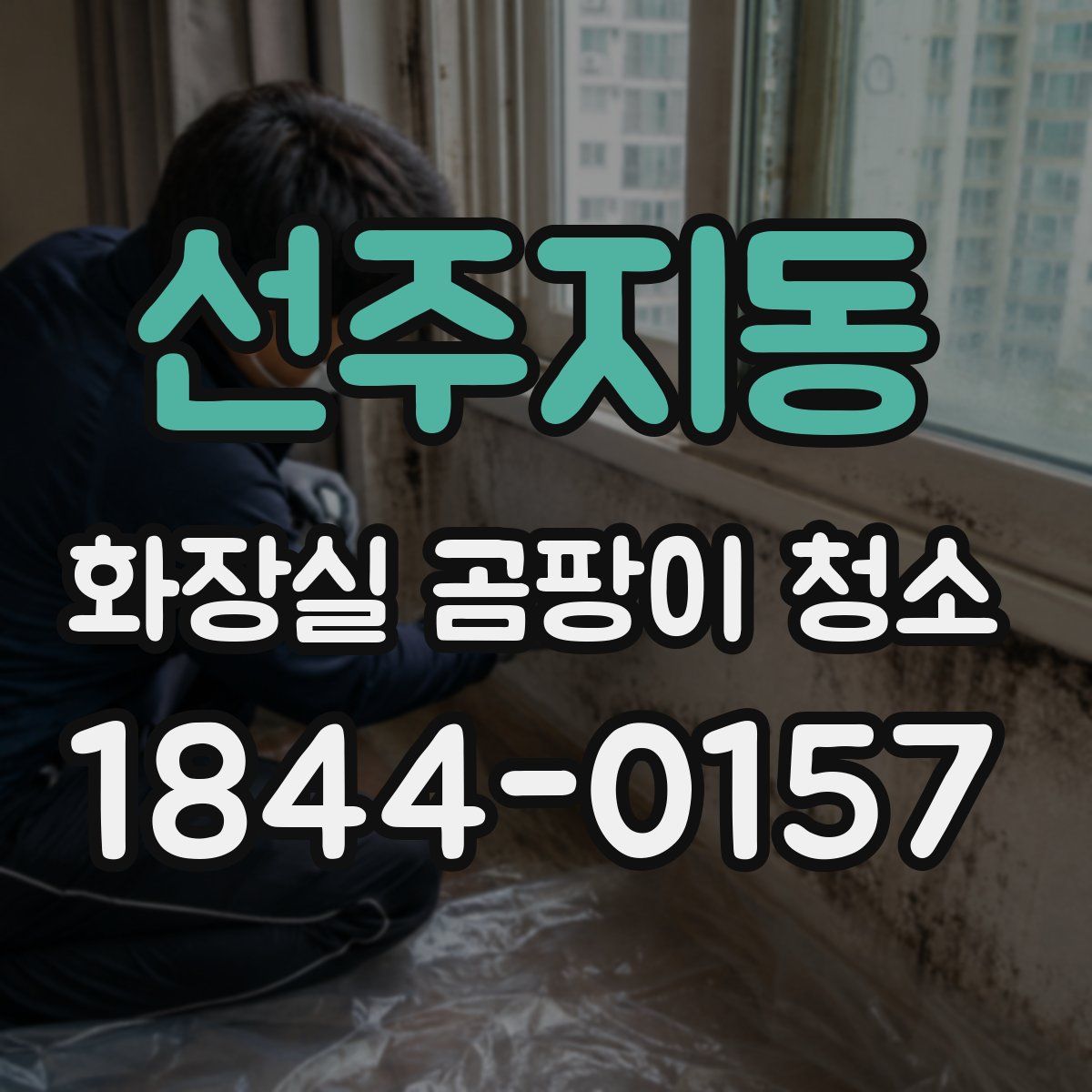 선주지동 화장실 곰팡이 청소