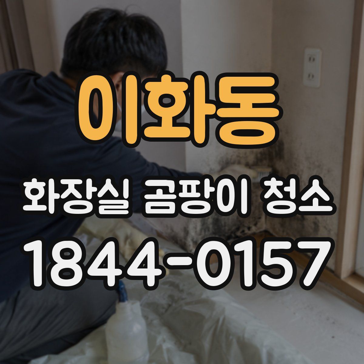 이화동 화장실 곰팡이 청소