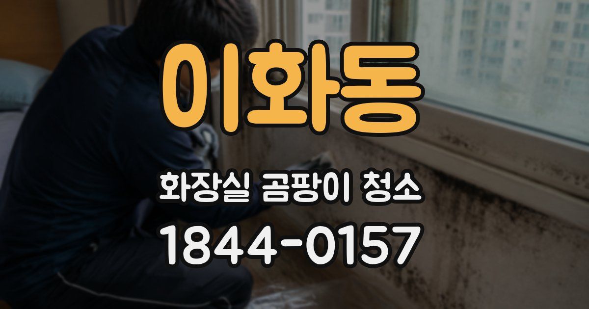 이화동 화장실 곰팡이 청소