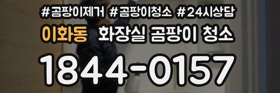 이화동 화장실 곰팡이 청소