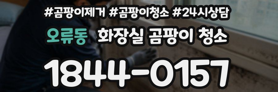 오류동 화장실 곰팡이 청소