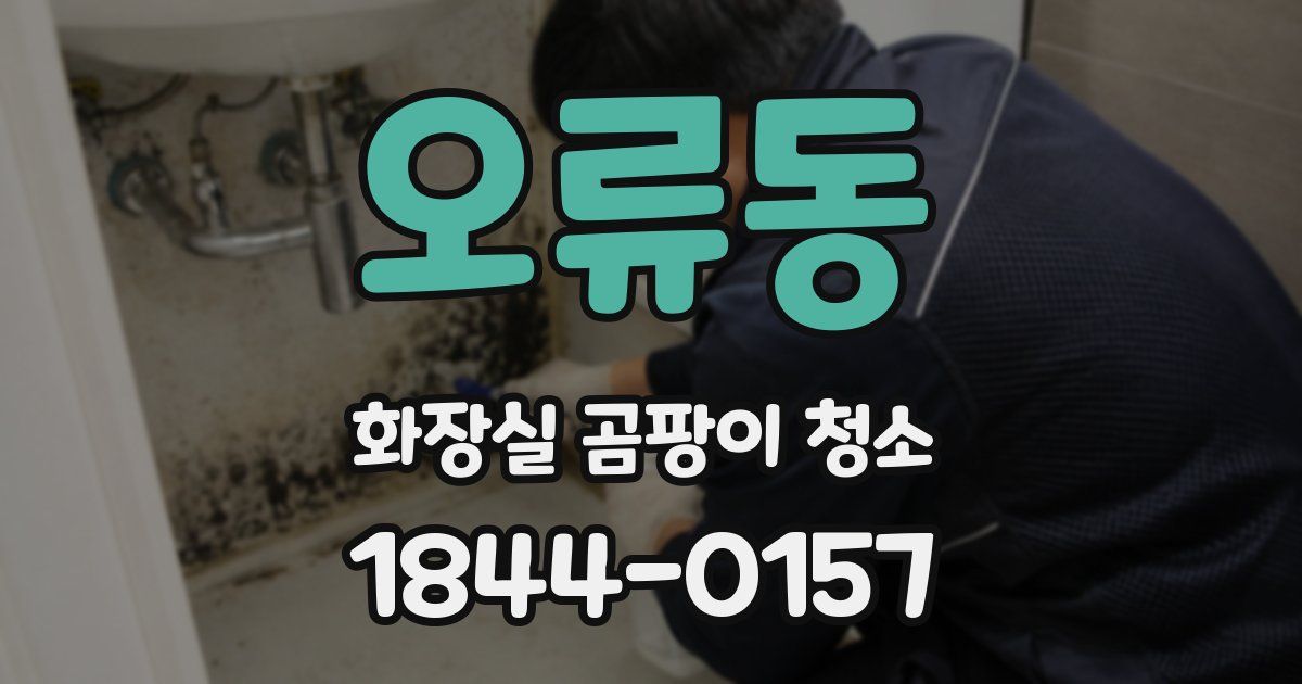 오류동 화장실 곰팡이 청소