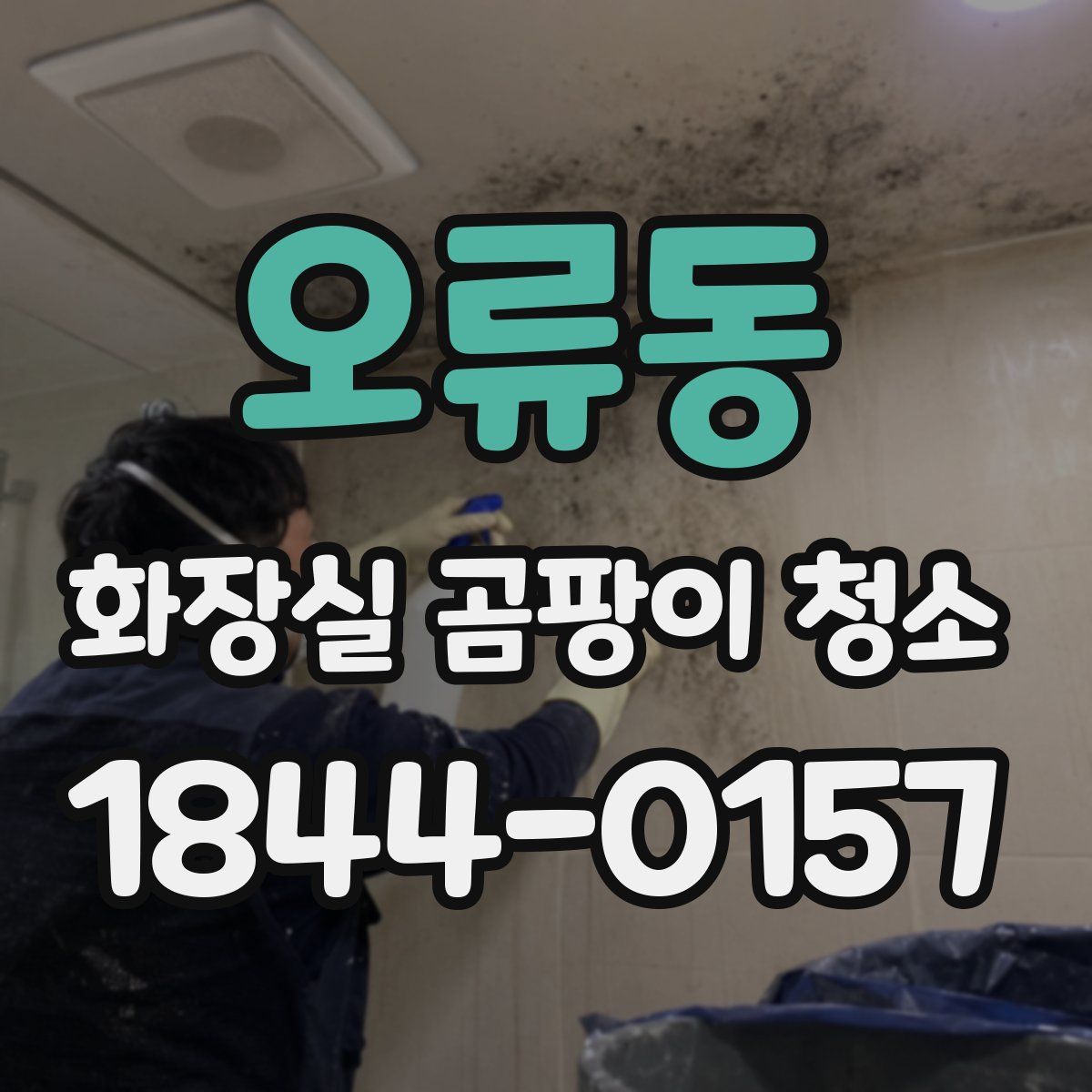 오류동 화장실 곰팡이 청소