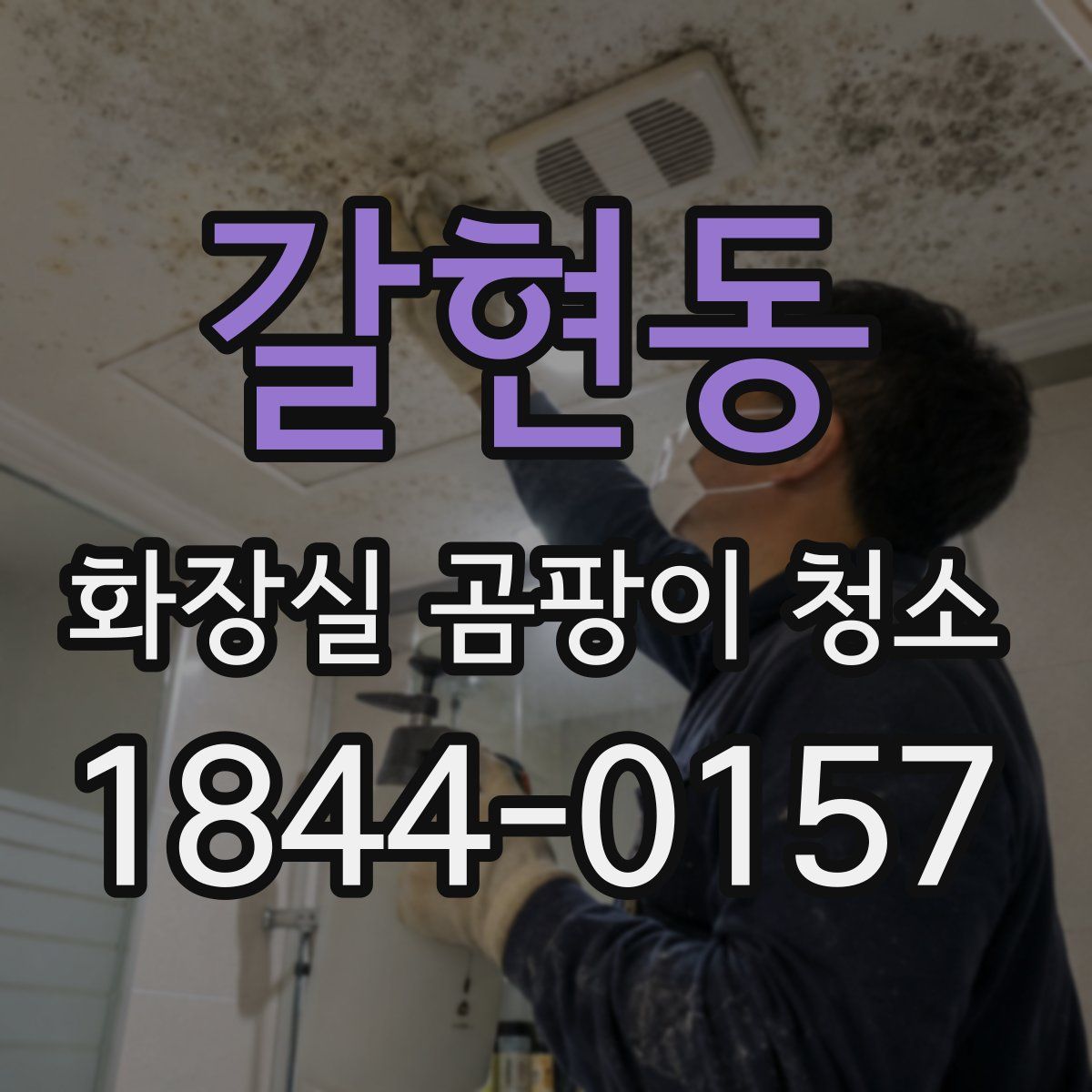 갈현동 화장실 곰팡이 청소