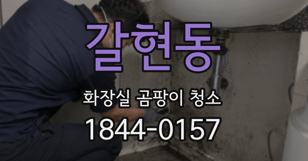 갈현동 화장실 곰팡이 청소