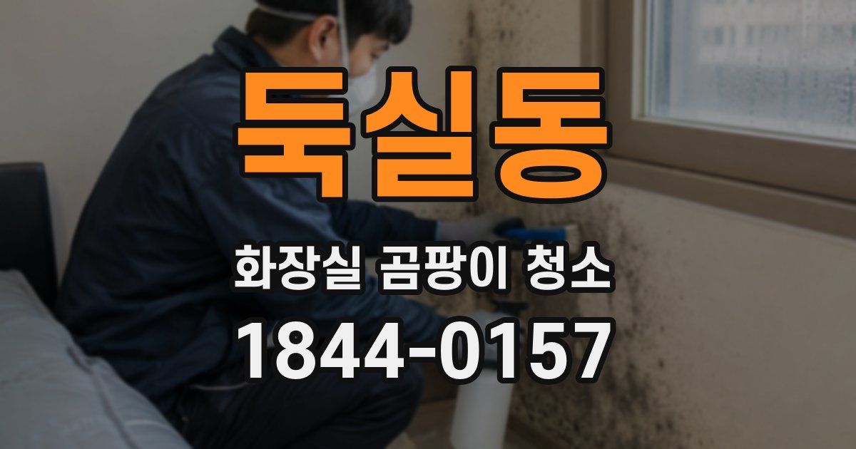 둑실동 화장실 곰팡이 청소