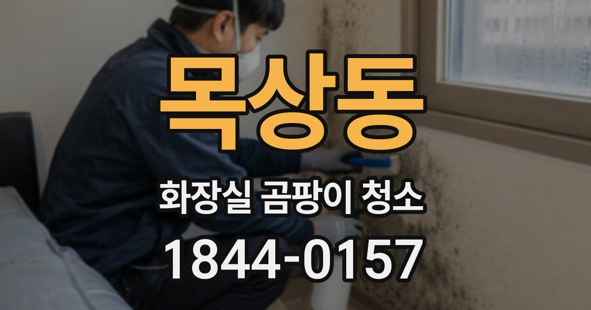 목상동 화장실 곰팡이 청소