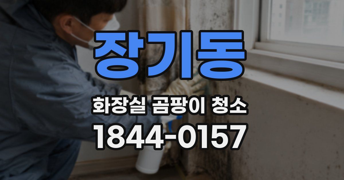 장기동 화장실 곰팡이 청소
