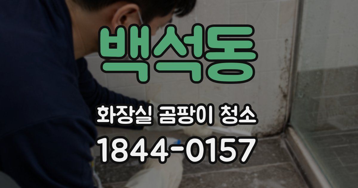 백석동 화장실 곰팡이 청소
