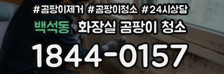백석동 화장실 곰팡이 청소