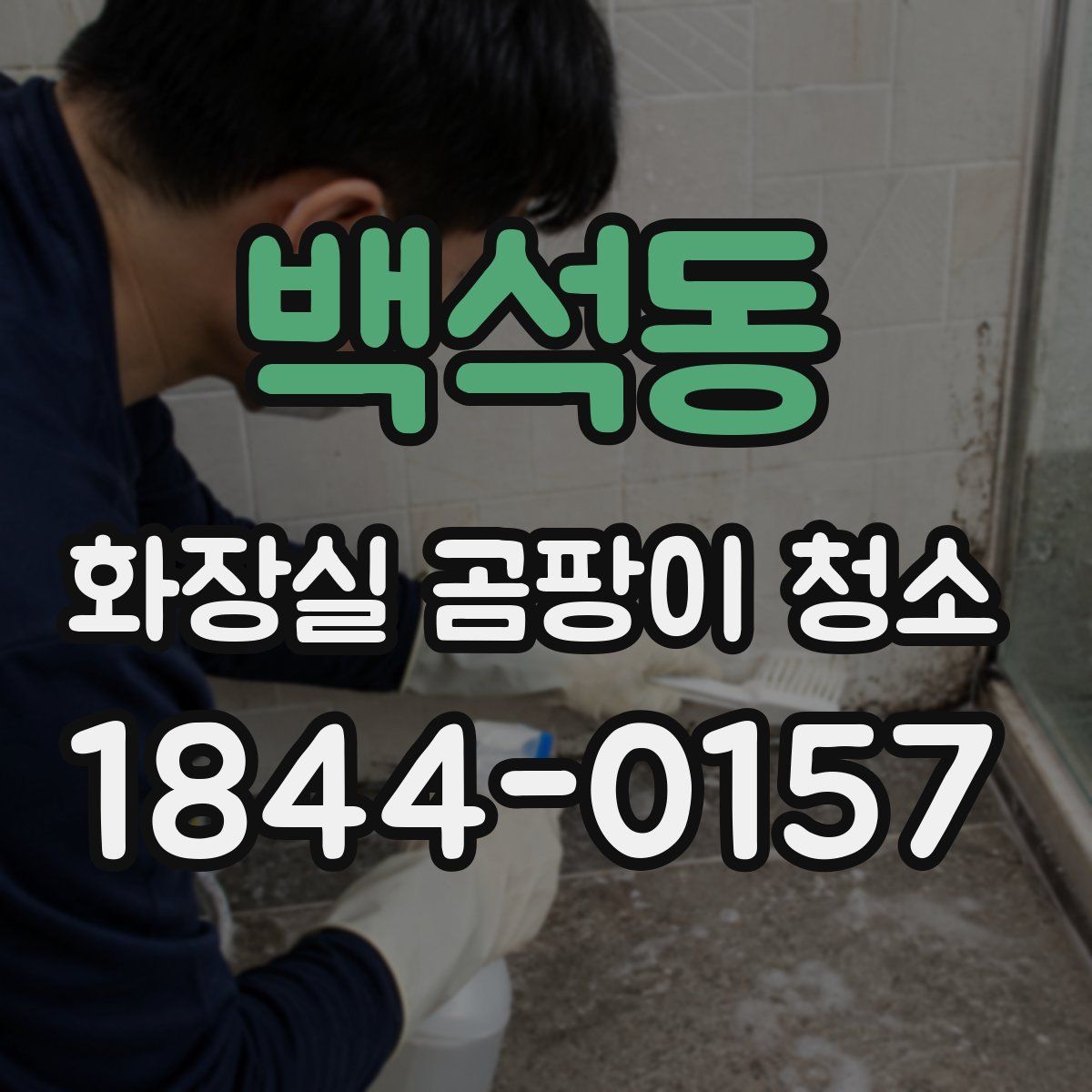 백석동 화장실 곰팡이 청소