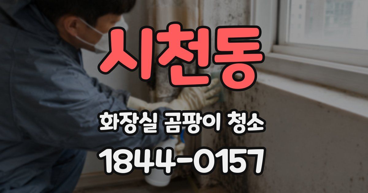 시천동 화장실 곰팡이 청소