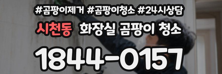 시천동 화장실 곰팡이 청소