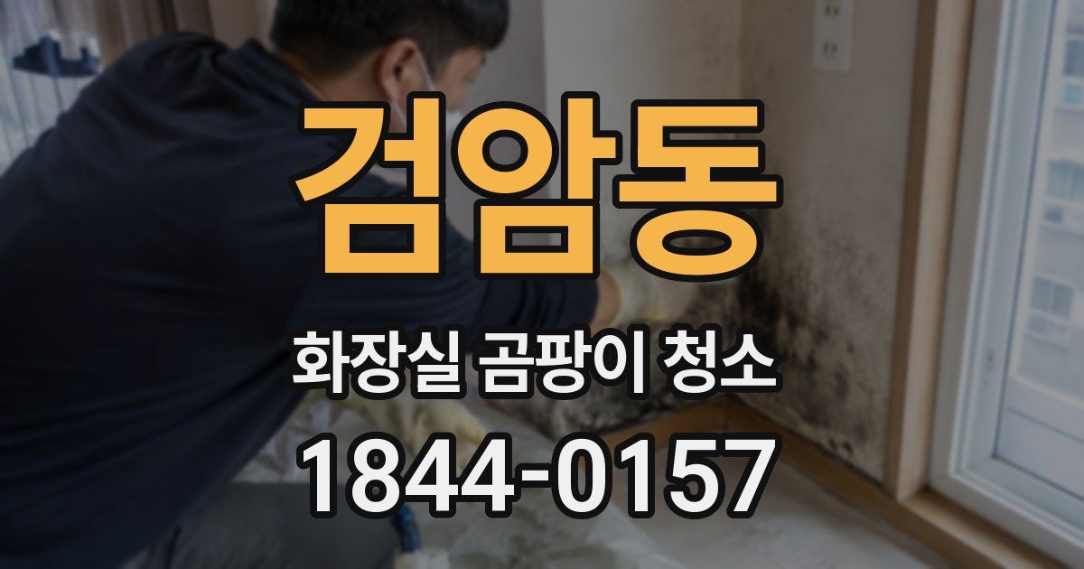 검암동 화장실 곰팡이 청소