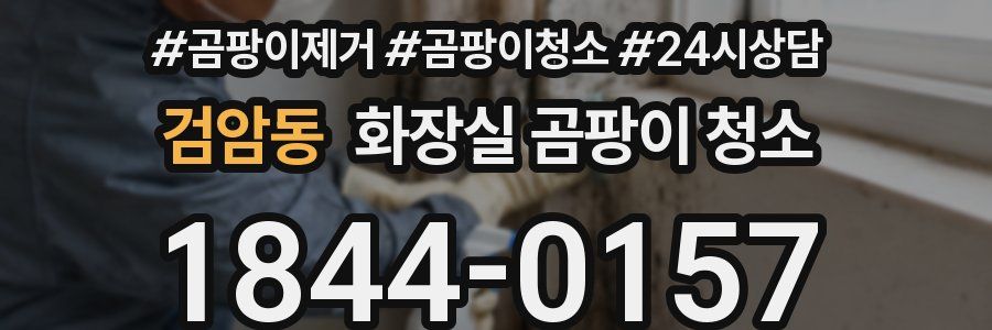 검암동 화장실 곰팡이 청소