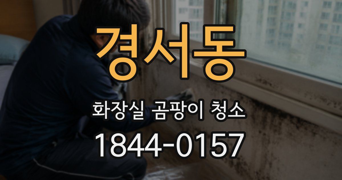 경서동 화장실 곰팡이 청소