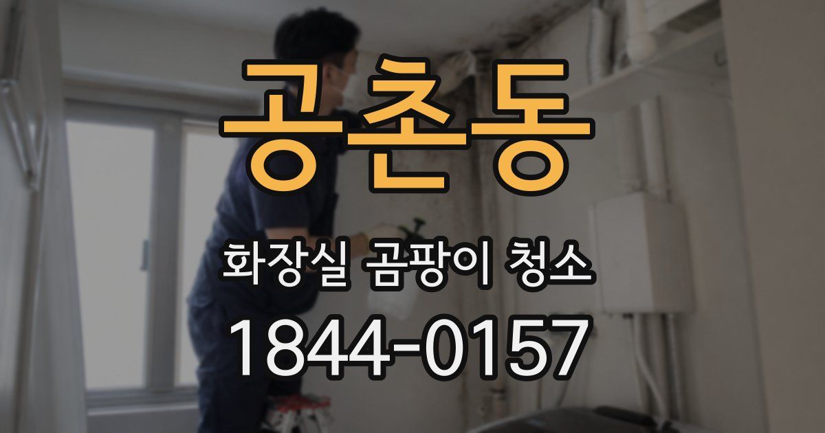 공촌동 화장실 곰팡이 청소