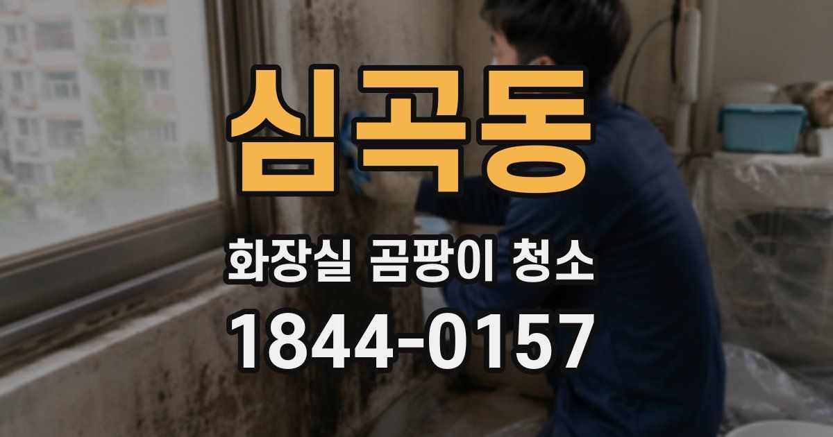 심곡동 화장실 곰팡이 청소