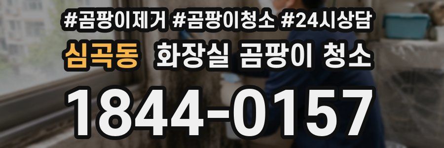 심곡동 화장실 곰팡이 청소