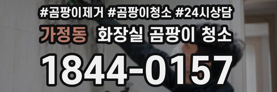 가정동 화장실 곰팡이 청소