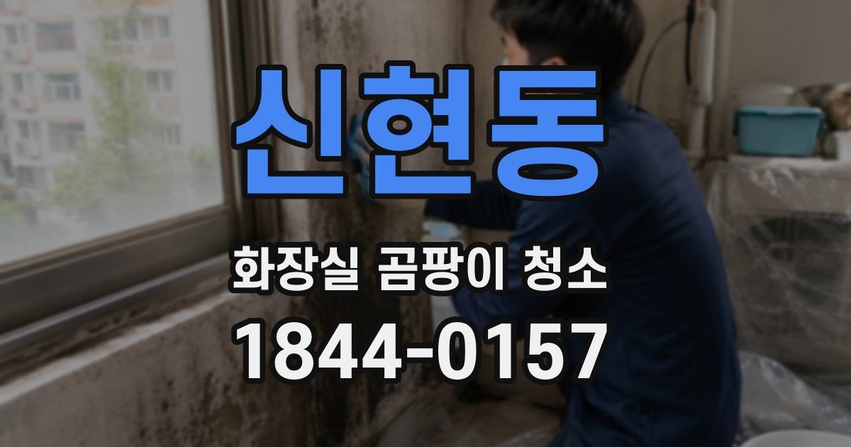 신현동 화장실 곰팡이 청소