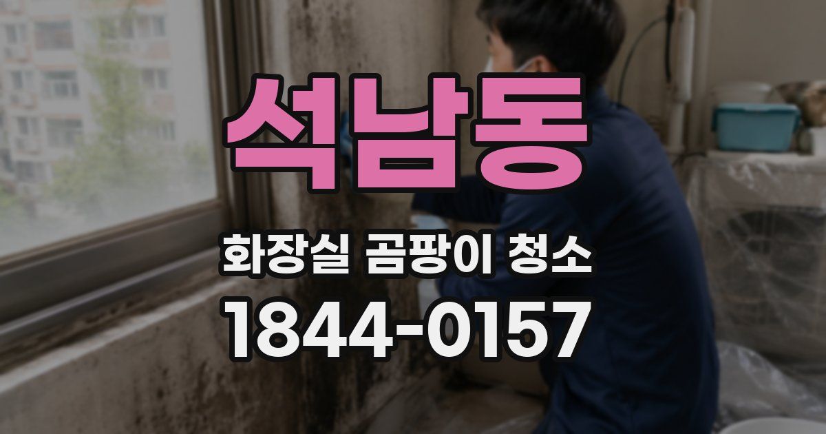 석남동 화장실 곰팡이 청소