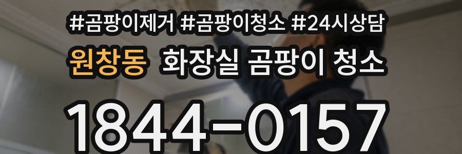 원창동 화장실 곰팡이 청소