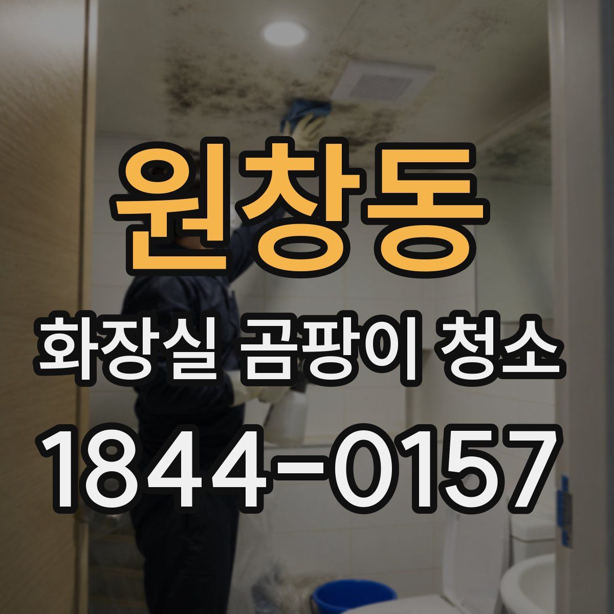 원창동 화장실 곰팡이 청소