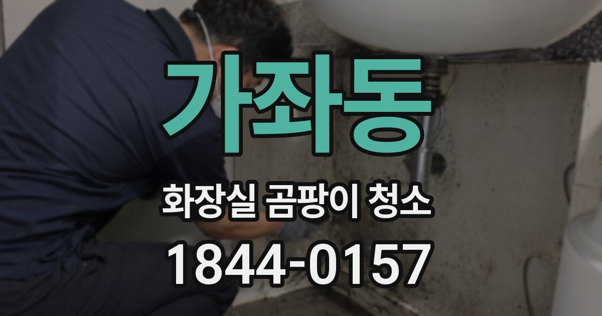 가좌동 화장실 곰팡이 청소