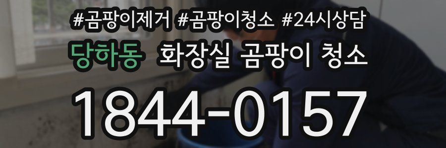 당하동 화장실 곰팡이 청소