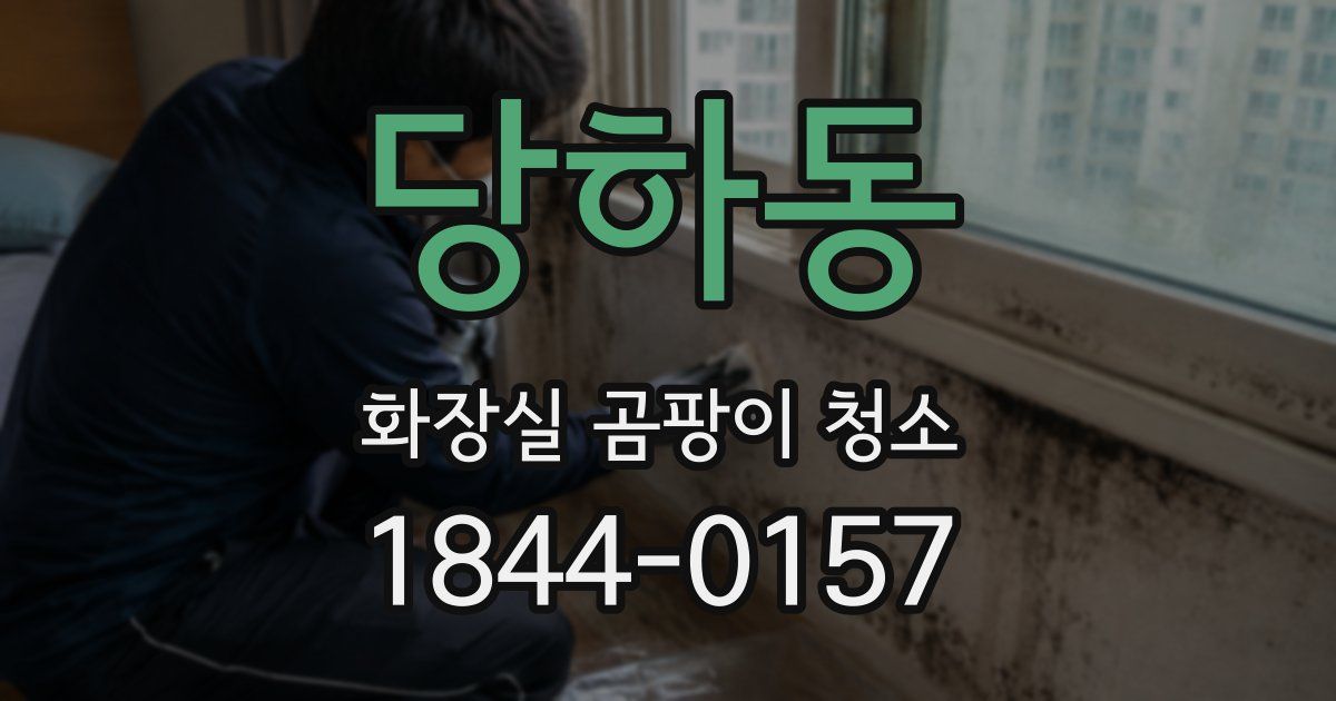 당하동 화장실 곰팡이 청소