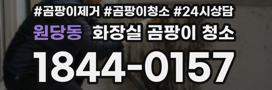 원당동 화장실 곰팡이 청소