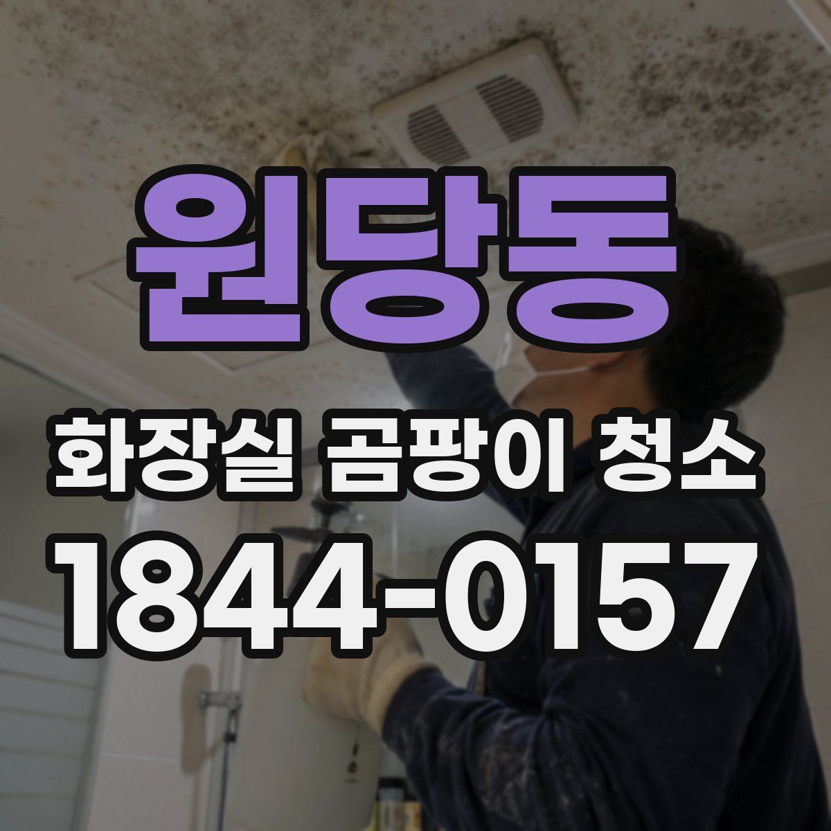 원당동 화장실 곰팡이 청소