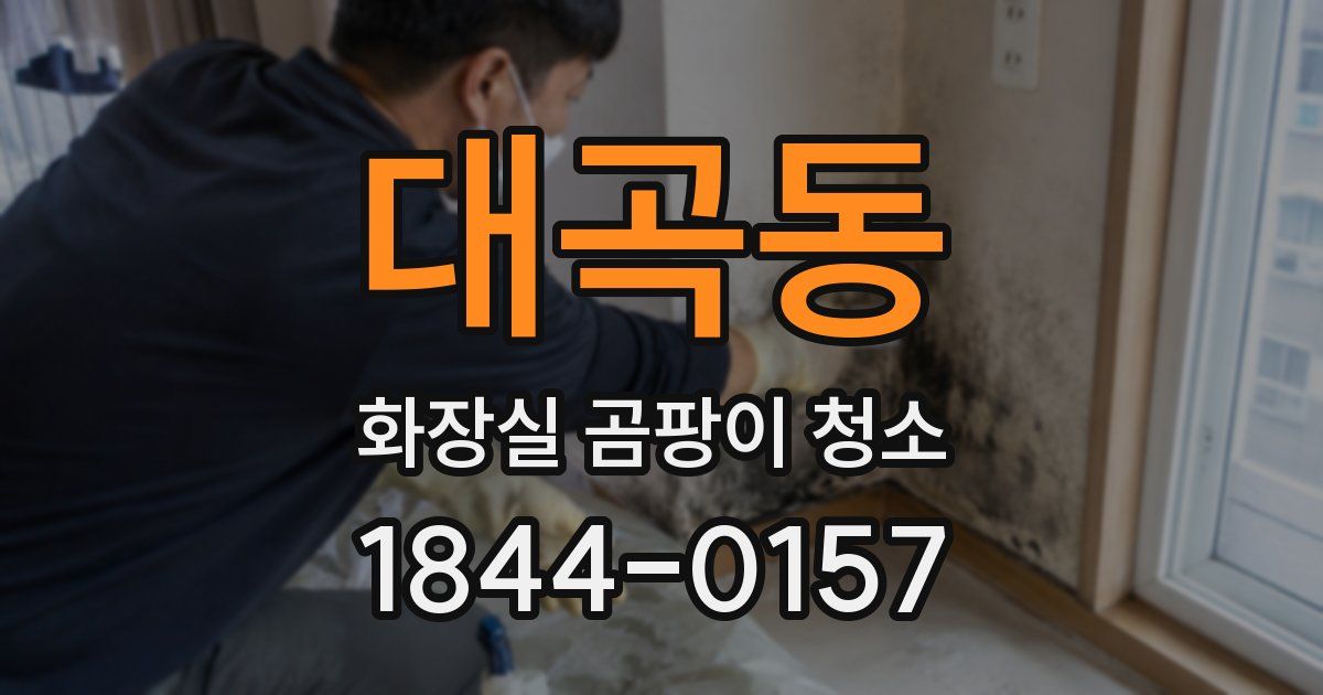 대곡동 화장실 곰팡이 청소