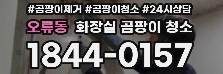 오류동 화장실 곰팡이 청소